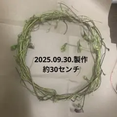 あさがお　リース　ハンドメイド　乾燥中　種子付き　　約30センチ