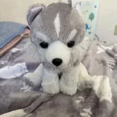 2025年最新】もふっとオオカミの人気アイテム - メルカリ