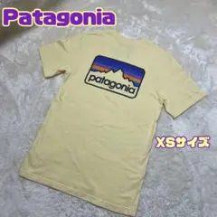 Patagonia パタゴニア 半袖 Tシャツ イエロー レギュラーフィットXS