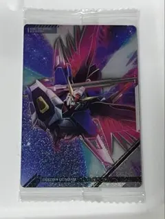 イタジャガ デスティニーガンダム カード