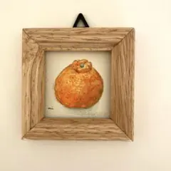 イボンヌ様 リクエスト 2点 まとめ商品