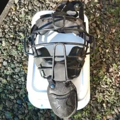 Item thumbnail for item f1094d1e-097d-4b08-bb05-9198d894c22a