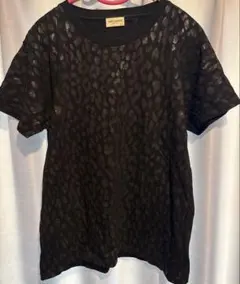 Item thumbnail for item 0f7a0c5b-38c2-41f3-9c08-cc673a8f05c8