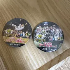 阪神タイガース　2023年セリーグ優勝・CS突破　缶バッジのサムネイル