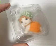 シルバニア　メイプルネコの赤ちゃん　ミスティー