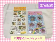 【平成レトロ】実写犬カプセルシールセット♡　平成女児　ファンシー　わんこ