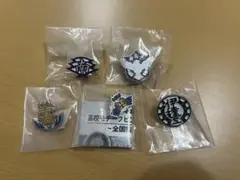 ハイキュー!! 高校モチーフピンバッジ