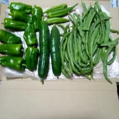 野菜の詰め合わせ　4種類のサムネイル