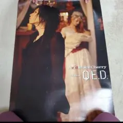 2025年最新】acid black cherry ポスターの人気アイテム - メルカリ