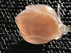 ゴビ石−1431 ゴビ瑪瑙　彫刻　『モクレン』