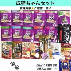 成猫ちゃん フード色々詰め合わせ
