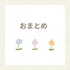 【ピコ様　専用ページです♡】