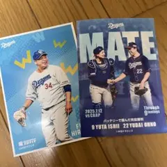 中日ドラゴンズ 竜ブロマイド 石伊雄太&大野雄大 福敬登セット販売
