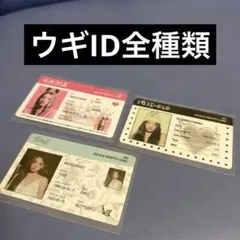 (G)i-dle I Feel ウギ IDカード セット