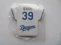 Item thumbnail for item 5bb44352-1f95-4c34-a511-029ba512e388