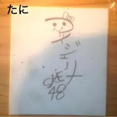 松井珠理奈 サイン 松井珠理奈 じゅりな 直筆サイン