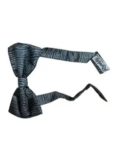 Item thumbnail for item 289dc7d8-7bf4-434a-8938-f74a1d897771