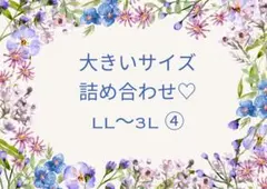 【みかん！様専用】詰め合わせ④
