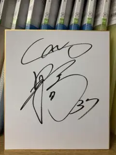 広島東洋カープ・鈴木誠也・直筆サイン・ミニ色紙 広島東洋カープ2017年 トレーディングmini色紙 外野手 51