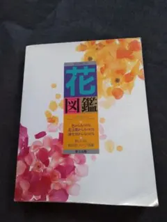 Item thumbnail for item 7ca26e97-497f-414f-8908-6ee75b051265