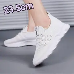 Item thumbnail for item 40f648a6-4111-4c98-bc7e-093079b1c39e