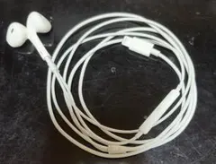 EarPods イヤホン 美品 Apple 純正品 ライトニング 完動品
