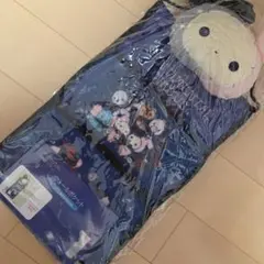 センチメンタルサーカス ウォールポケットのサムネイル