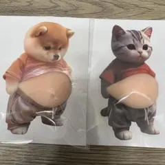 柴犬 猫 おなかぷくぷくシール 3Dシール お腹ぷにぷにシール 2匹セット