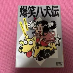 ミ*ス様 DVD 新八犬伝(NHK 人形劇) & 里見八犬伝(角川) セット - メルカリ