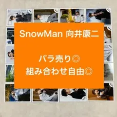 【バラ売り可◎】SnowMan 向井康二 公式写真 54枚セット