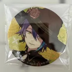 ⭐*︎様 プロセカ グリ缶 神代類