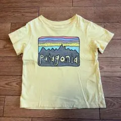 Patagonia ベビー・フィッツロイ・スカイズ・Tシャツのサムネイル