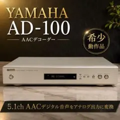 2026年最新】yamaha ad-100の人気アイテム - メルカリ