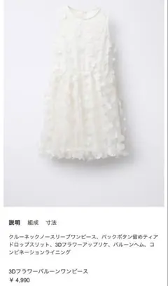 ZARA 美品 アイボリー フラワーモチーフ ドレスのサムネイル
