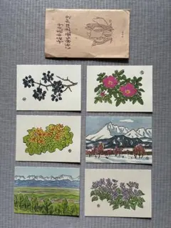 ☆坂本直行☆「 題名不明 」ペン画　インチサイズ　未使用！ 2025年最新】坂本直行の人気アイテム - メルカリ