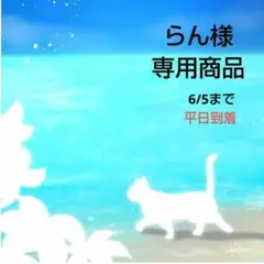 専用商品K-10417 じゃれ猫チャーム(海 星の砂) 専用商品K-10417 じゃれ猫チャーム(海 星の砂) - メルカリ