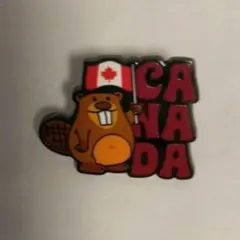 2026年最新】ana ピンバッジの人気アイテム - メルカリ