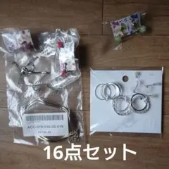 アクセサリー16点セット