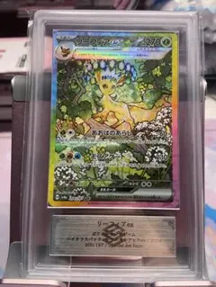 2026年最新】リーフィアex ARSの人気アイテム - メルカリ