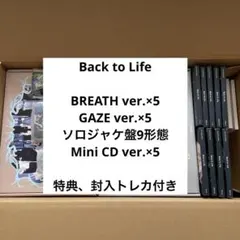 &TEAM Back to Life セット