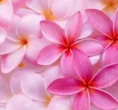 ありがとうございます