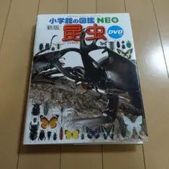 小学館の図鑑NEO　新版　昆虫　DVDつき