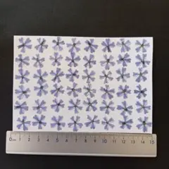 yun様 専用ページ