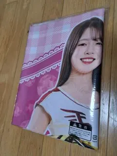 東北ゴールデンエンジェルス 記念グッズ