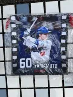 中日ドラゴンズ　2025年ドームガチャ　最終章 きんちゃく　山本 泰寛選手