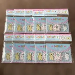 んぽちゃむ　フレークシール&ケースセット　10点