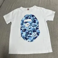 Item thumbnail for item 8dd77537-e66e-48e9-be69-c89851235ff2