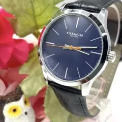 2026年最新】COACH 文字盤カラー：ブルー 腕時計(クォーツ)の人気