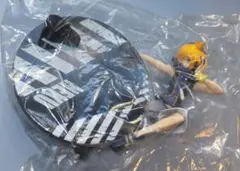 Item thumbnail for item fa73d4c9-4316-4dae-a808-42e2bb2879bd