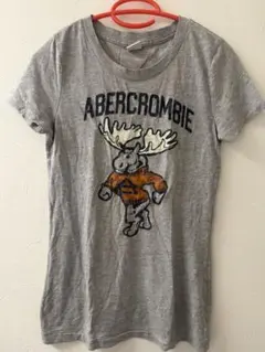Abercrombie&Fitch 半袖Tシャツ ヘザーグレー ムースロゴのサムネイル